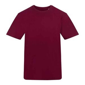 Awdis Unisex Adult T-Shirt / Burgundy
